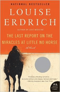 The Last Report on the Miracles at Little No Horse