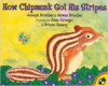 How Chipmunk Got his Stripes