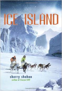 Ice Island