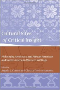 Cultural Sites of Critical Insight: Philosophy, Aesthetics, and African American and Native American Women's Writings