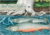 Bull Trout's Gift:A Salish Story about the Value of Reciprocity