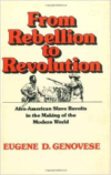 From Rebellion to Revolution: Afro-American Slave Revolts in the Making of the Modern World