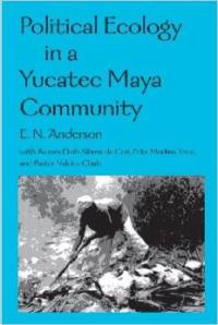 Political Ecology in a Yucatec Maya Community