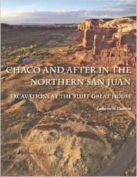 Chaco and After in the Northern San Juan: Excavations at the Bluff Great House [With CDROM]