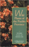 Wild Plants of the Pueblo Province: Exploring Ancient and Enduring Uses