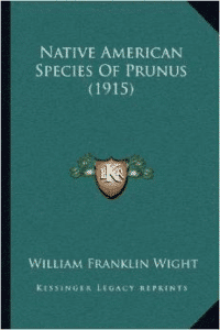 Native American Species of Prunus (1915)