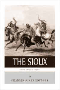 Native American Tribes:The History and Culture of the Sioux