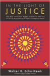 In the Light of Justice: The Rise of Human Rights in Native America and the United Nations Declaration on the Rights of Indigeno