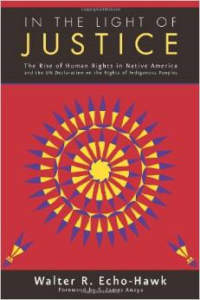 In the Light of Justice: The Rise of Human Rights in Native America and the United Nations Declaration on the Rights of Indigeno