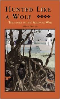 Hunted Like a Wolf:The Story of the Seminole War