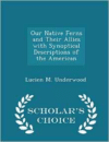 Our Native Ferns and Their Allies with Synoptical Descriptions of the American - Scholar's Choice Edition