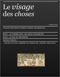 Le Visage Des Choses: Traduction Rongo Rongo Et Maya