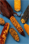 Maize (Native American Indian) 100 Page Lined Journal: Blank 100 Page Lined Journal for Your Thoughts, Ideas, and Inspiration